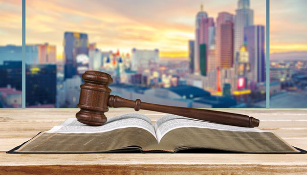 51306682 – legal system.